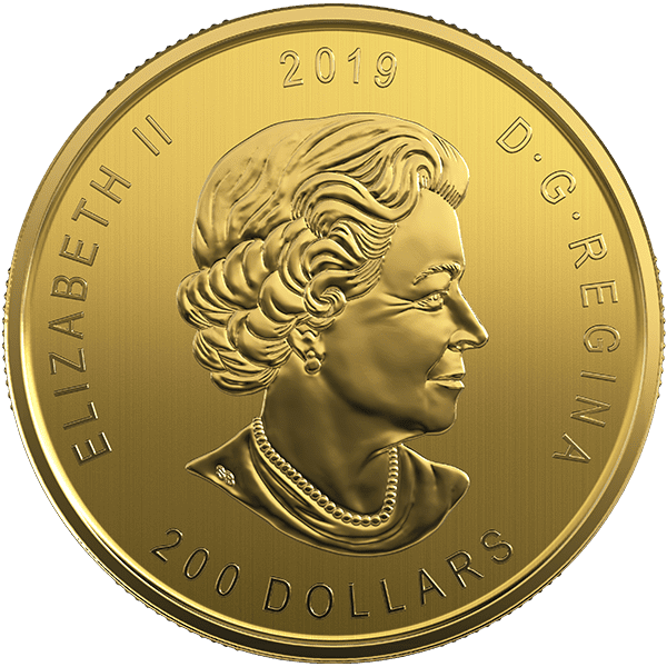 CALL OF THE WILD SERIES