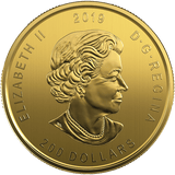 CALL OF THE WILD SERIES