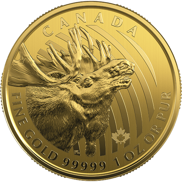 CALL OF THE WILD SERIES