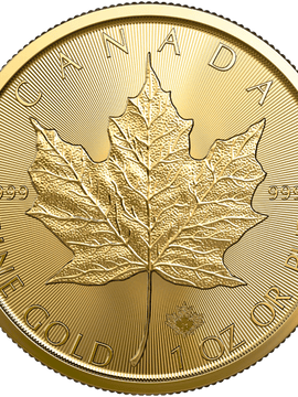 2023 1 OZ CANADIAN GOLD MAPLE LEAF