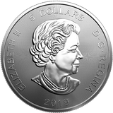 SILVER RCM PREDATOR SERIES