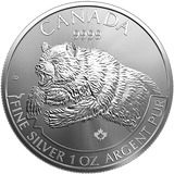 SILVER RCM PREDATOR SERIES