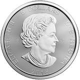 SILVER WOLF – RCM PREDATOR SERIES