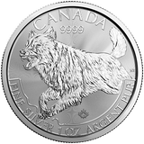 SILVER WOLF – RCM PREDATOR SERIES